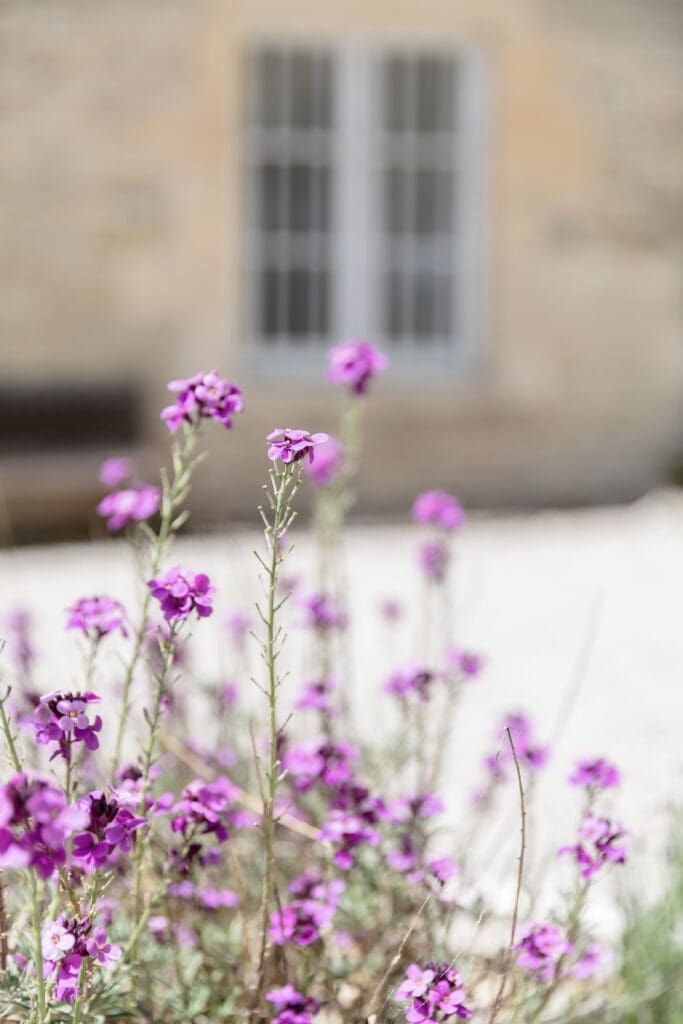 sfeerfoto bij trouwen bij domaine rennepont frankrijk